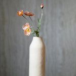 Pipacs korall művirág