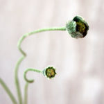 Pipacs bimbó dekorág