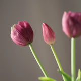 Tulipáncsokor lila művirág csokor