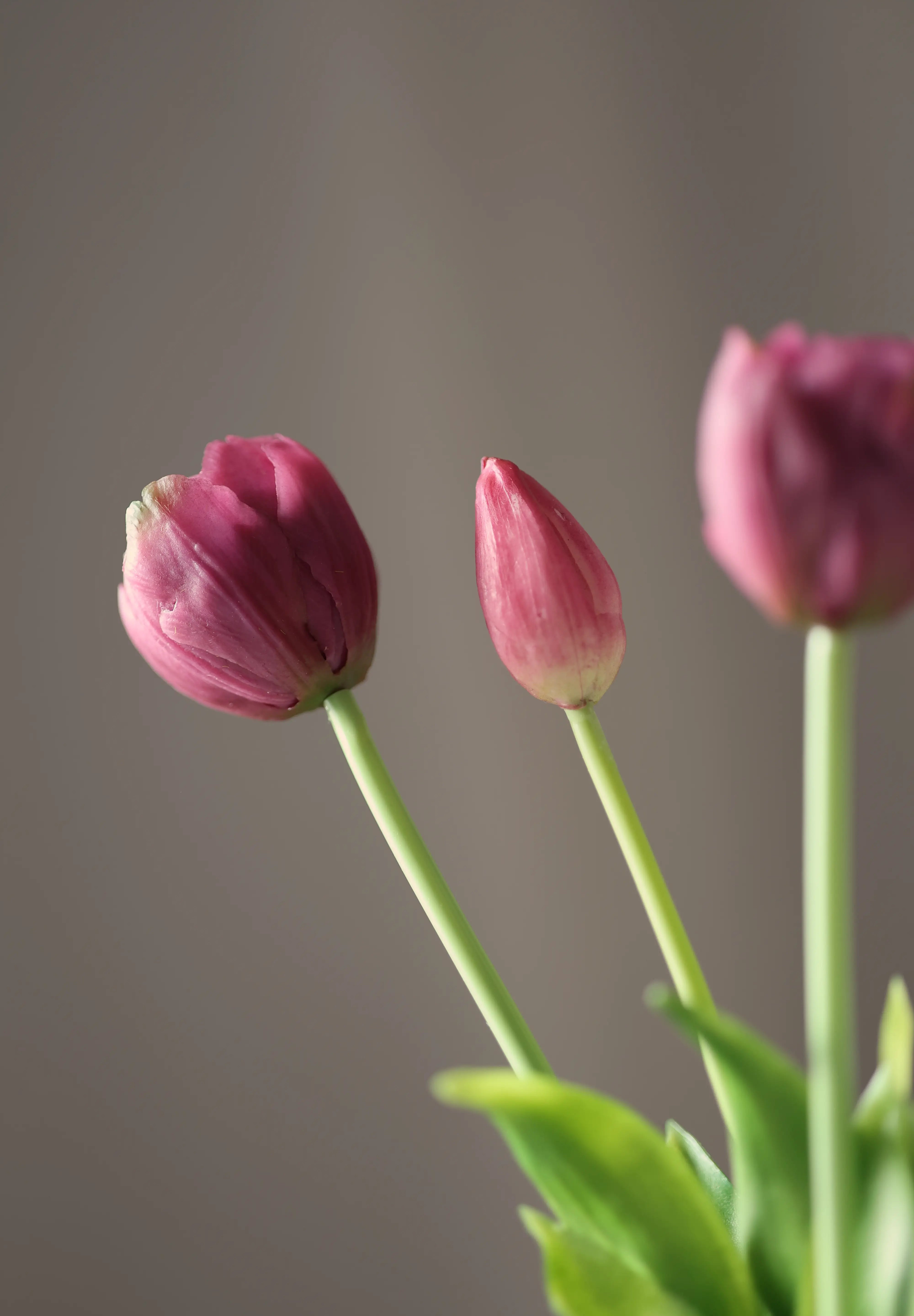Tulipáncsokor lila művirág csokor