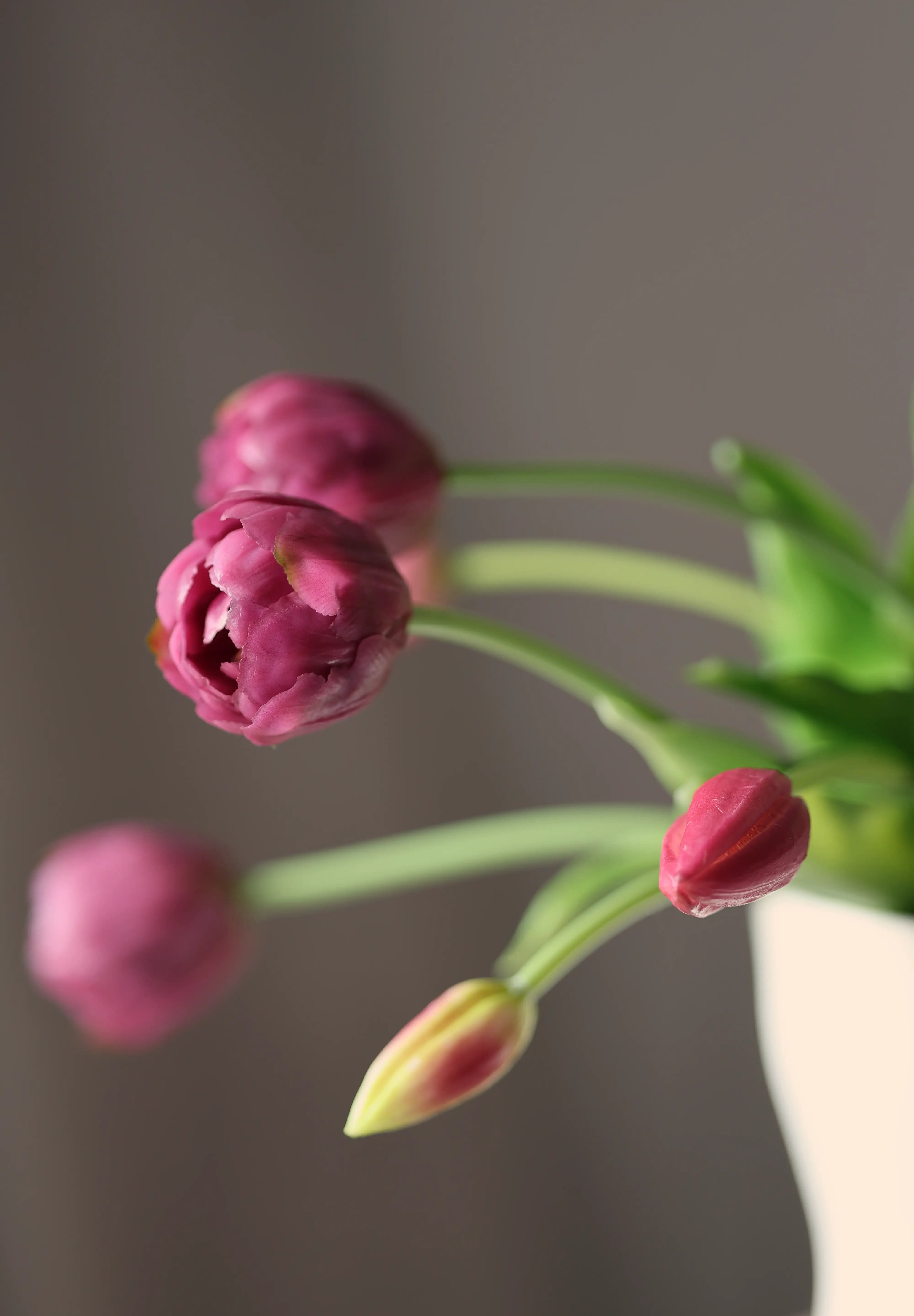 Tulipáncsokor lila művirág csokor