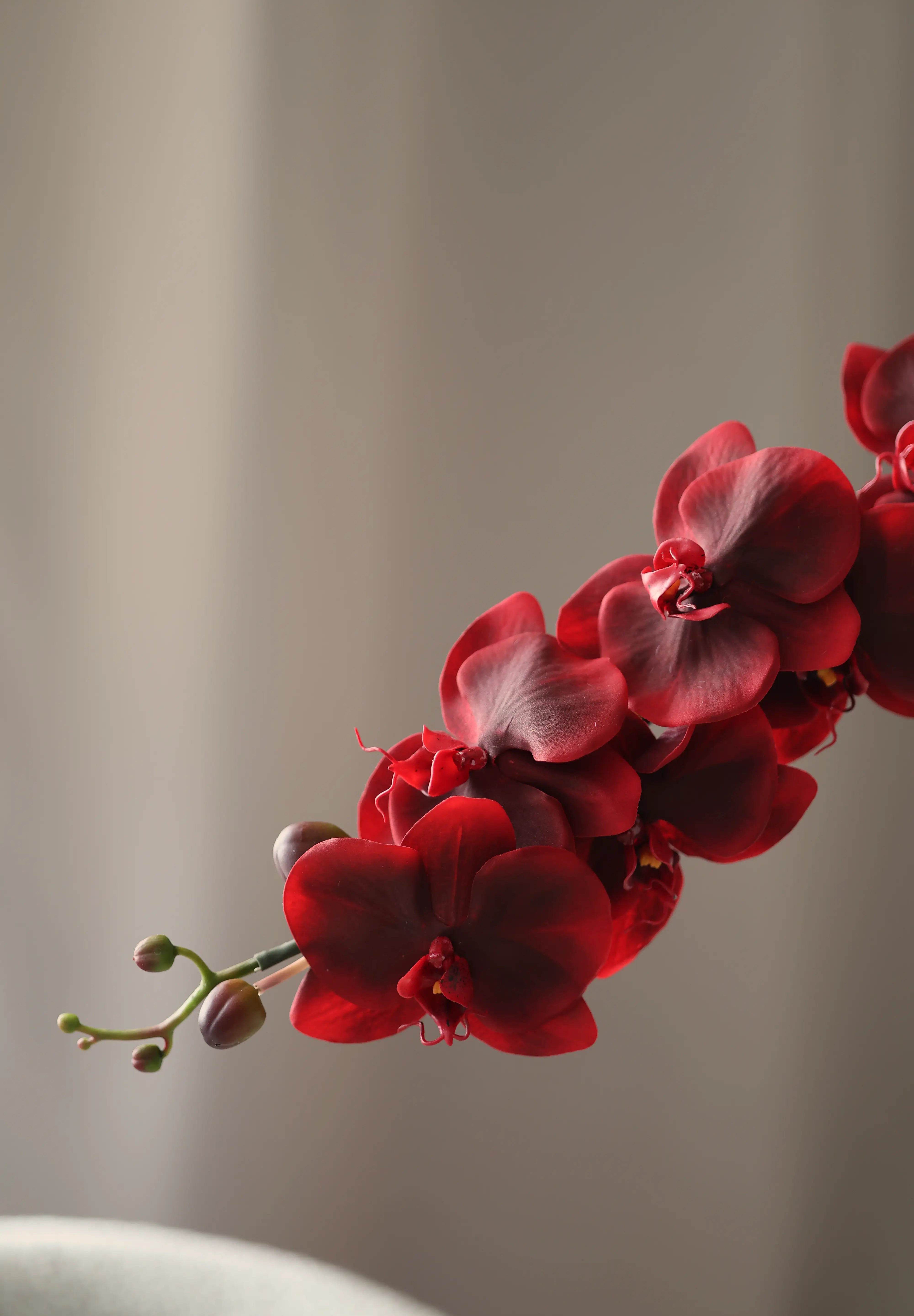 Nagy orchidea burgundi művirág