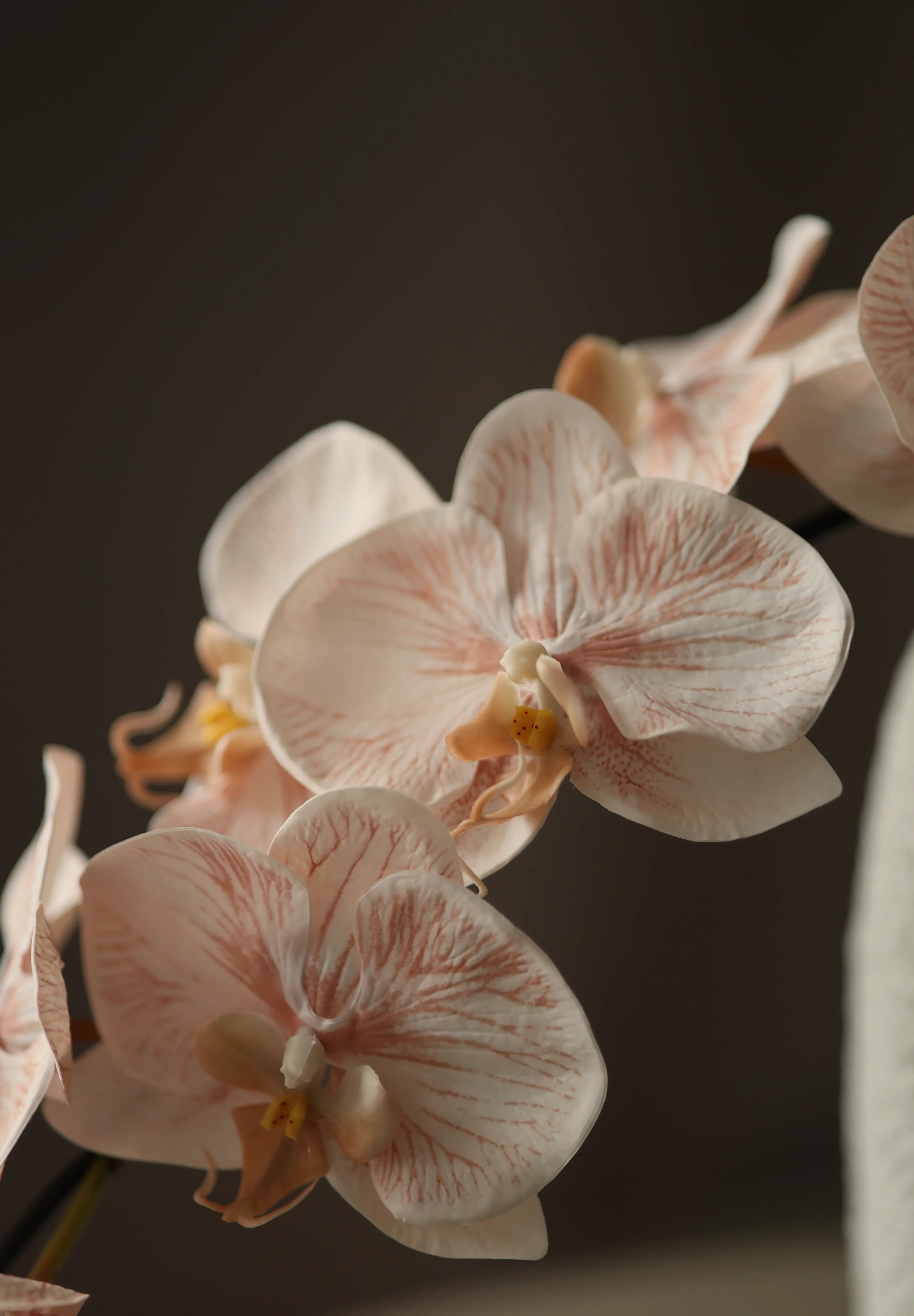 Nagy orchidea bézs művirág