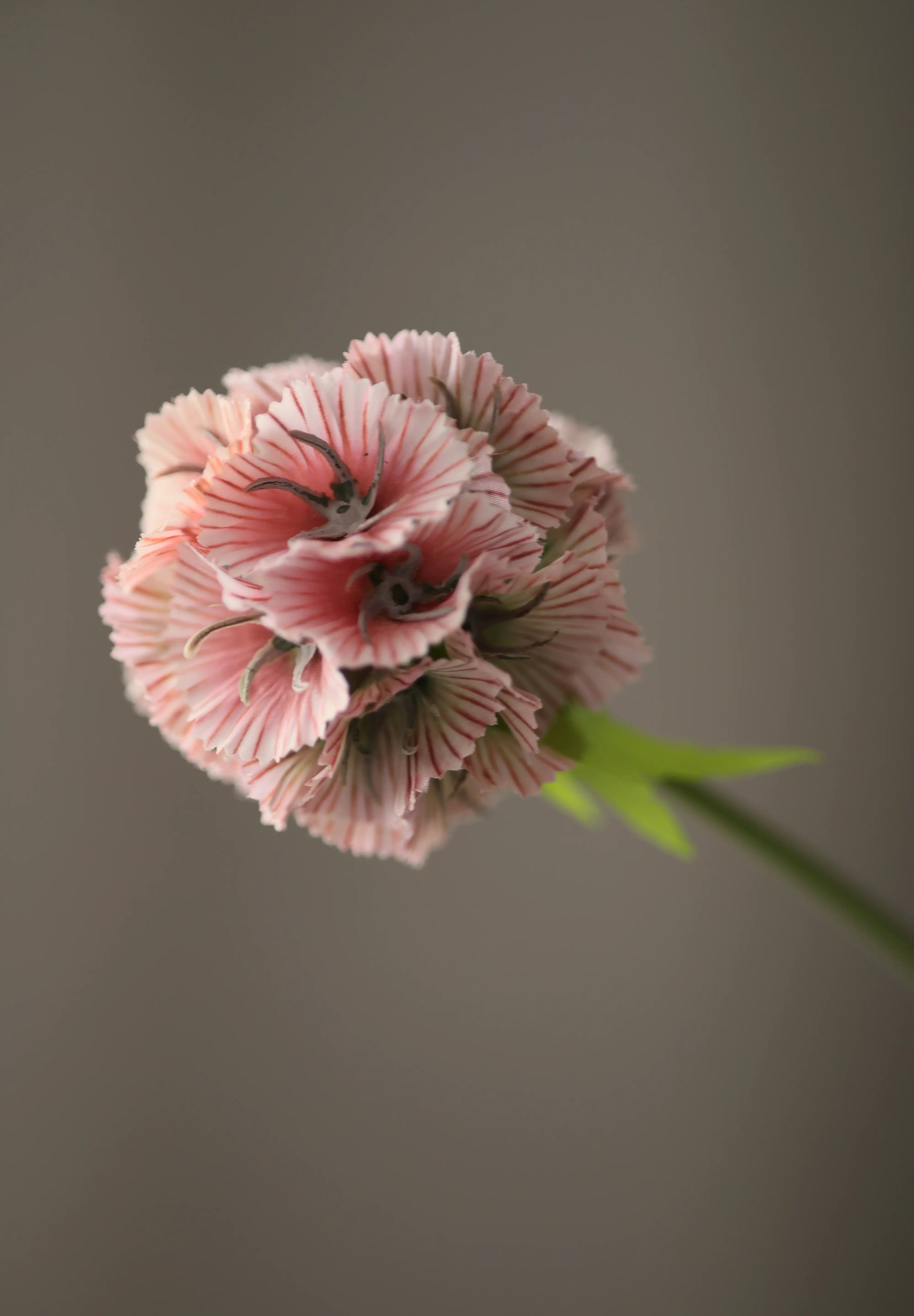 Cirmos tokvirág pink művirág