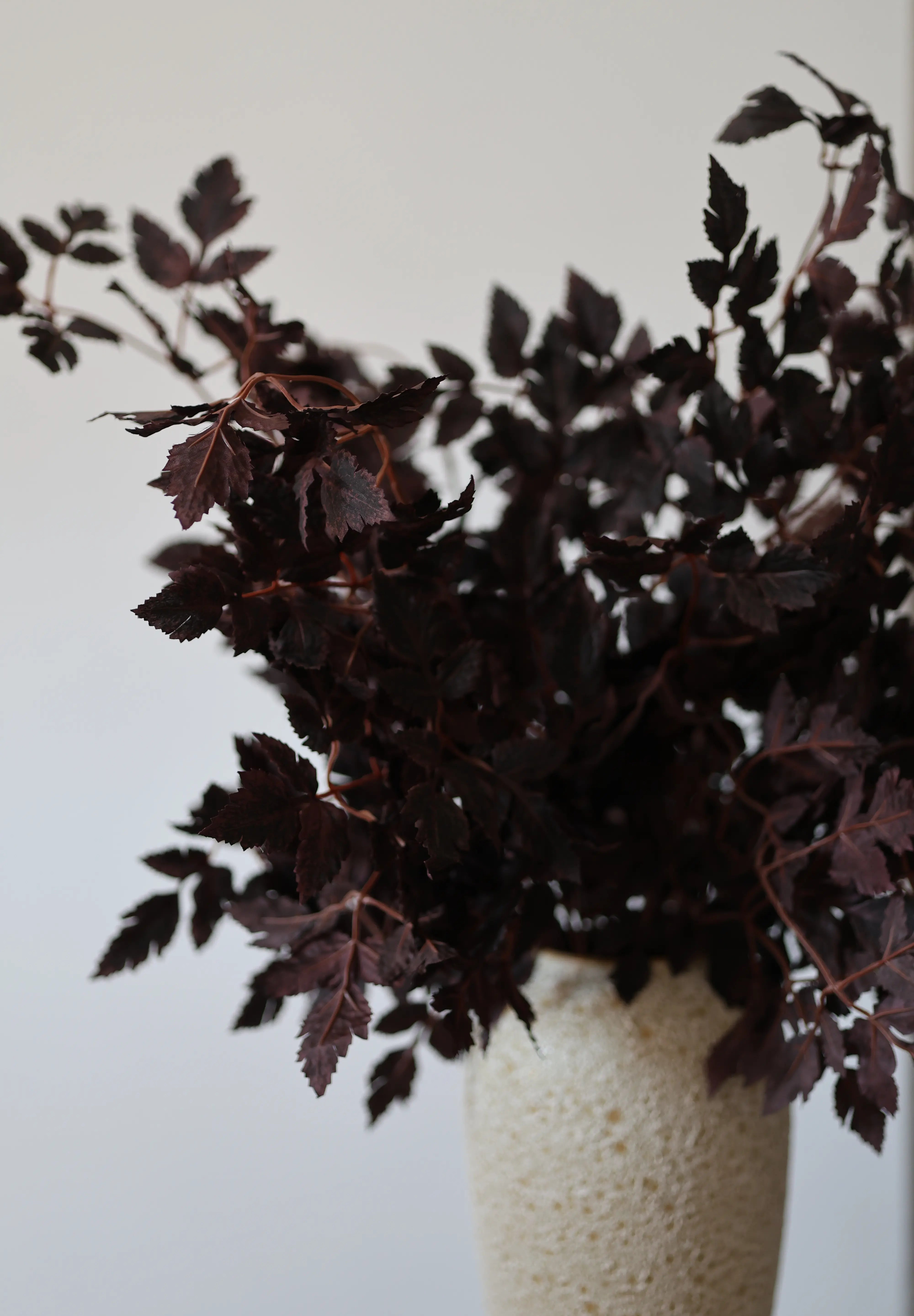 Alkony ág bordó dekornövény