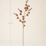 FLORM bogáncs ág világosbarna dekorág méretei – 90 cm magas