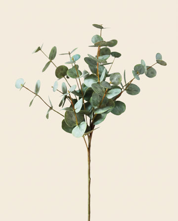 Eucalyptus leaf branch - small - Green
