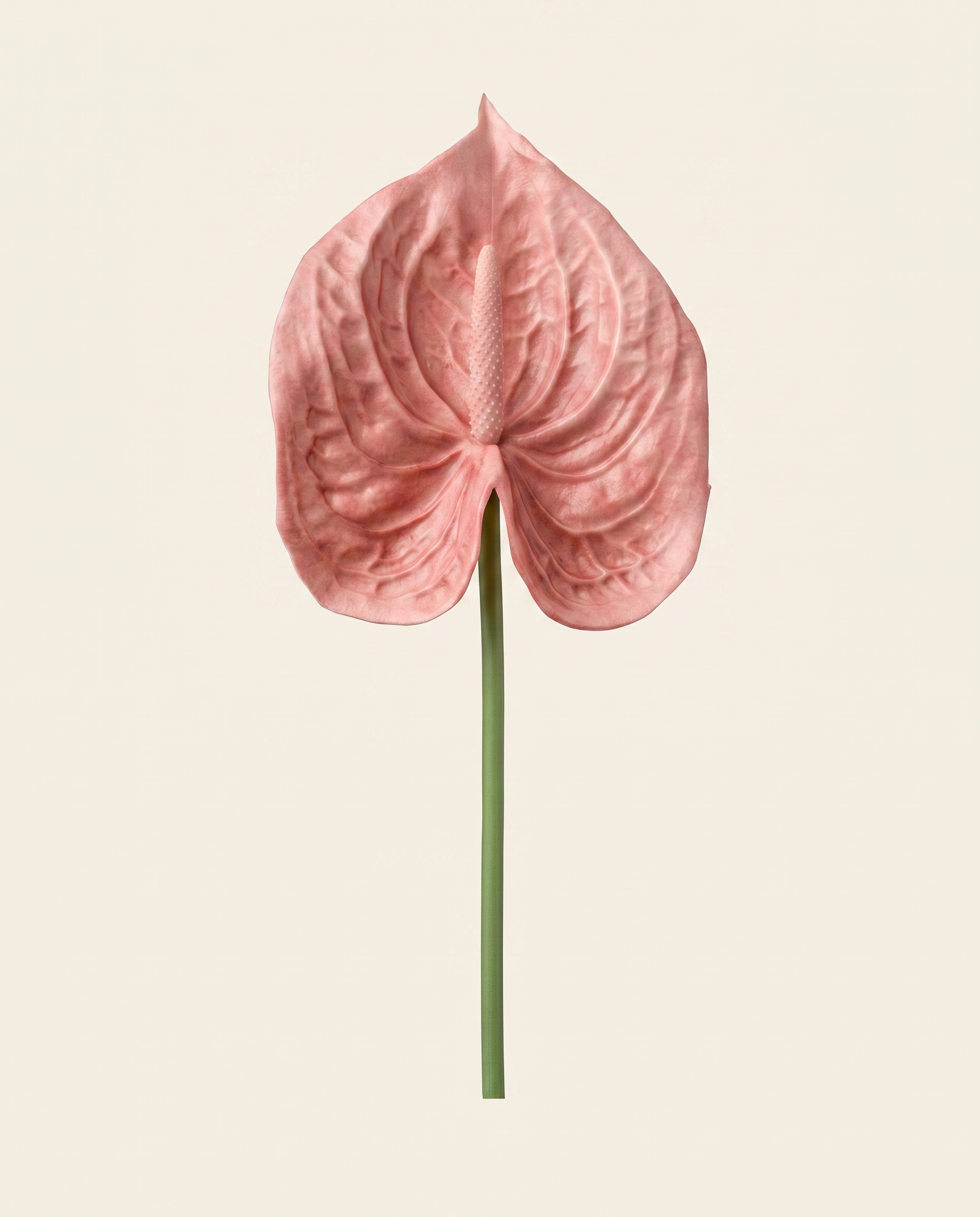 Flamingó rózsaszín művirág