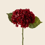 Hortenzia burgundy művirág