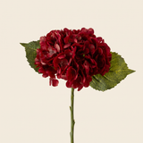 Hortenzia burgundy művirág