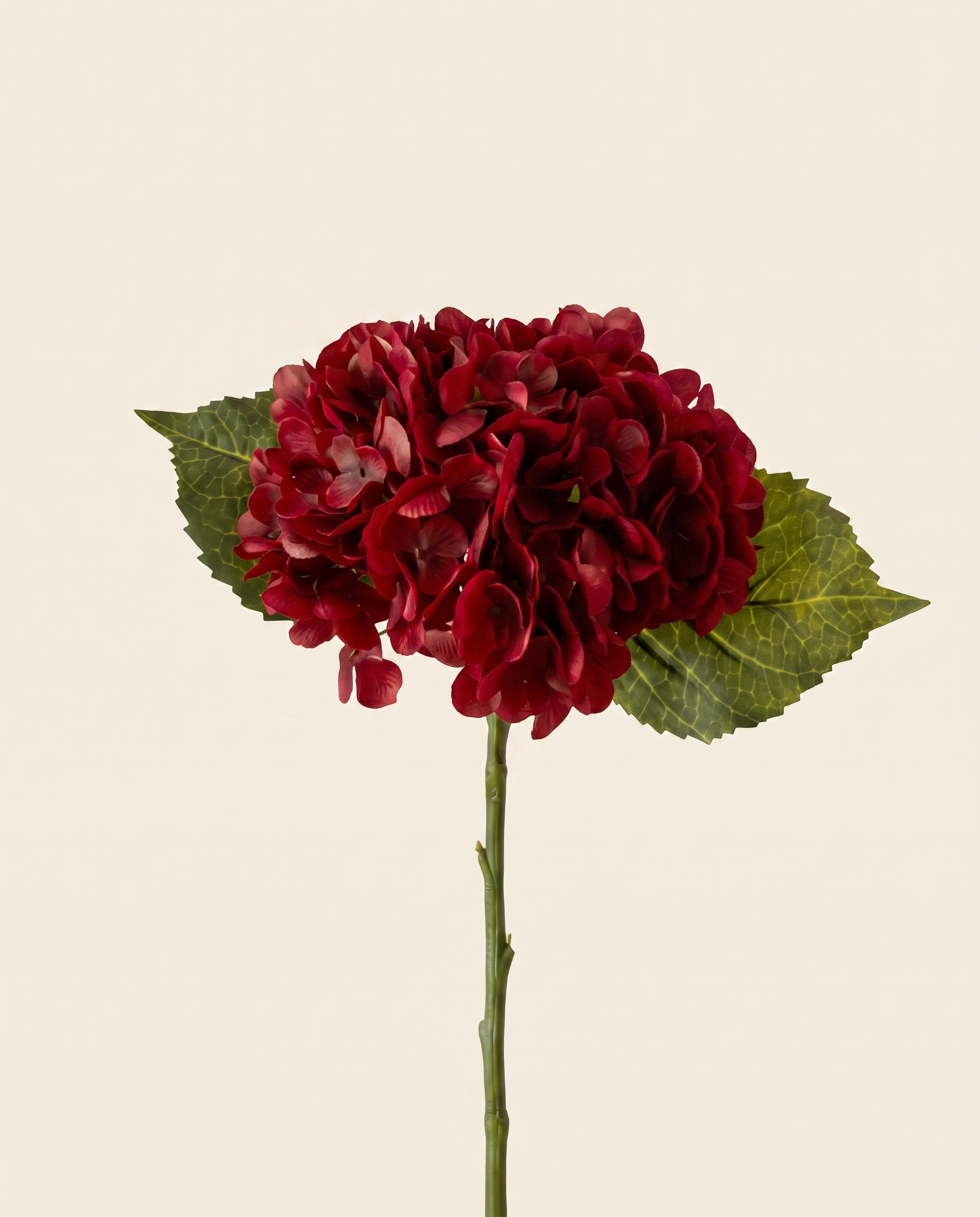 Hortenzia burgundy művirág