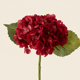 Hortenzia burgundy művirág