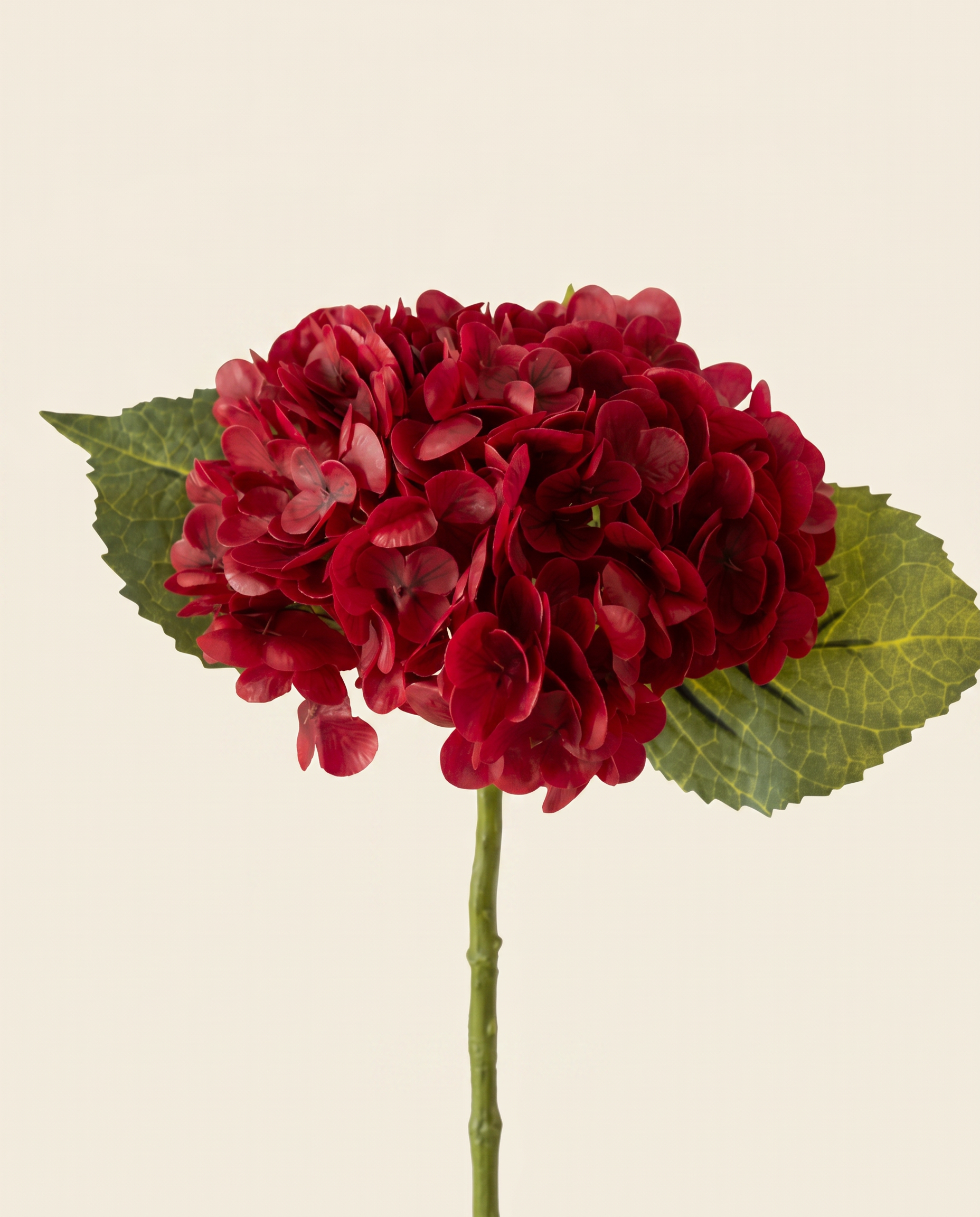 Hortenzia burgundy művirág