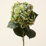 Hortenzia hamvas zöld művirág