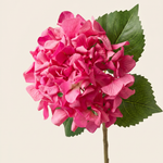 Hortenzia pink művirág