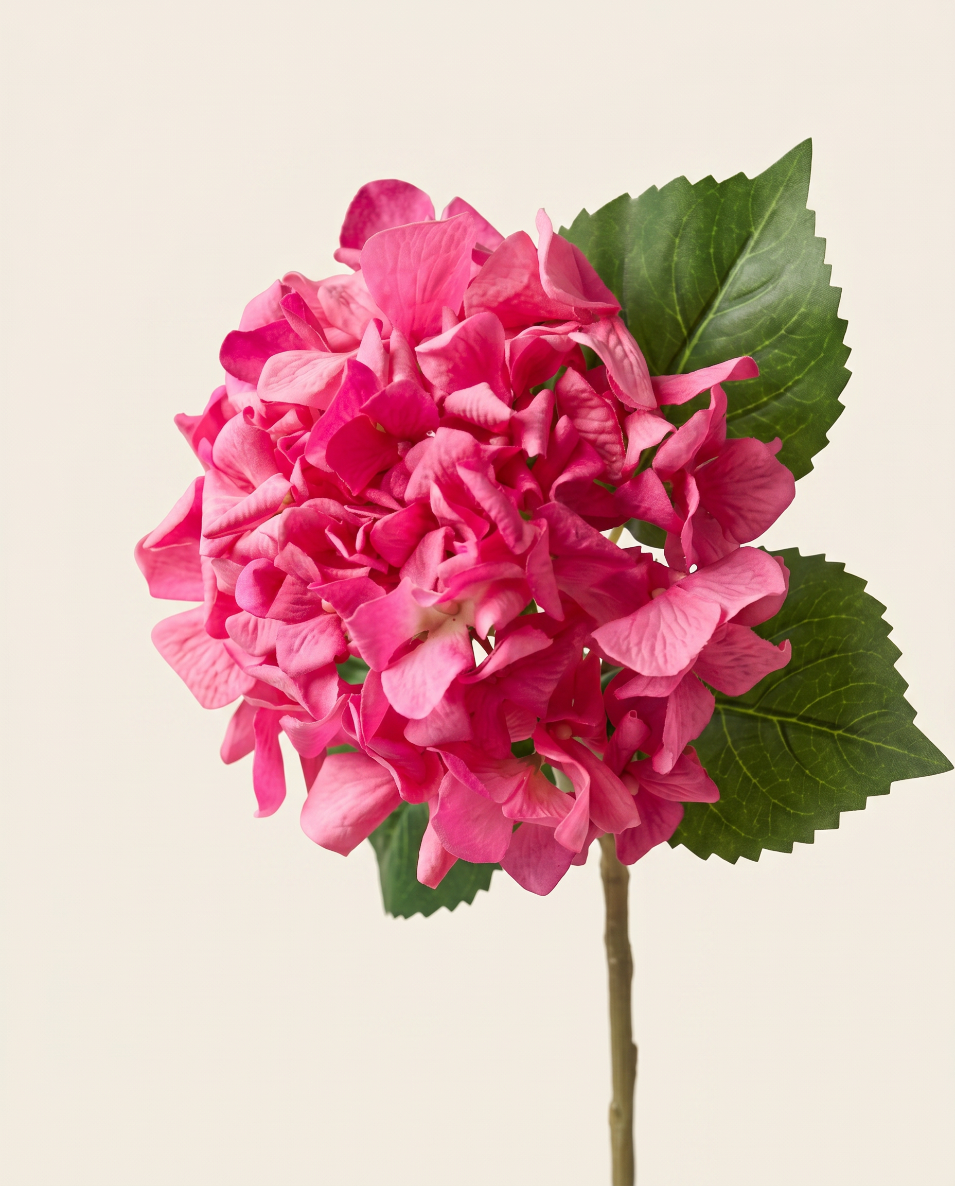 Hortenzia pink művirág