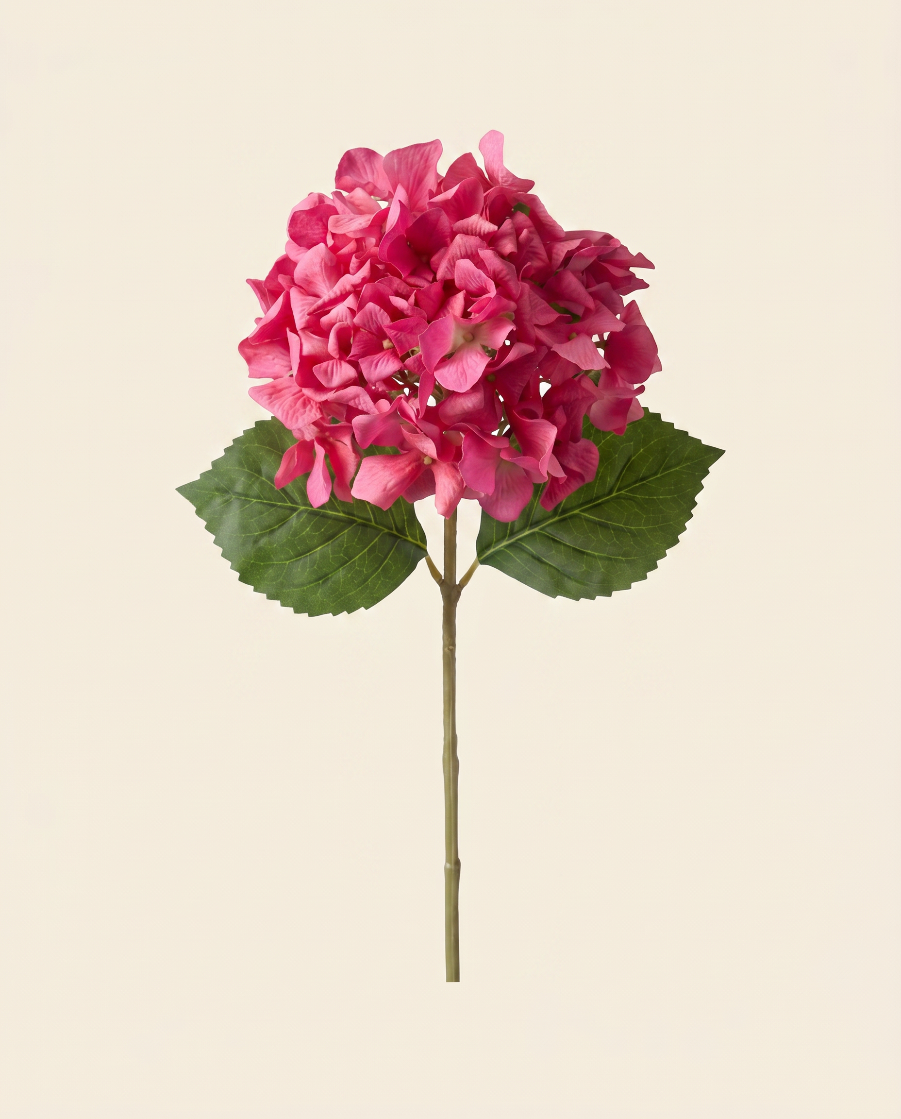 Hortenzia pink művirág