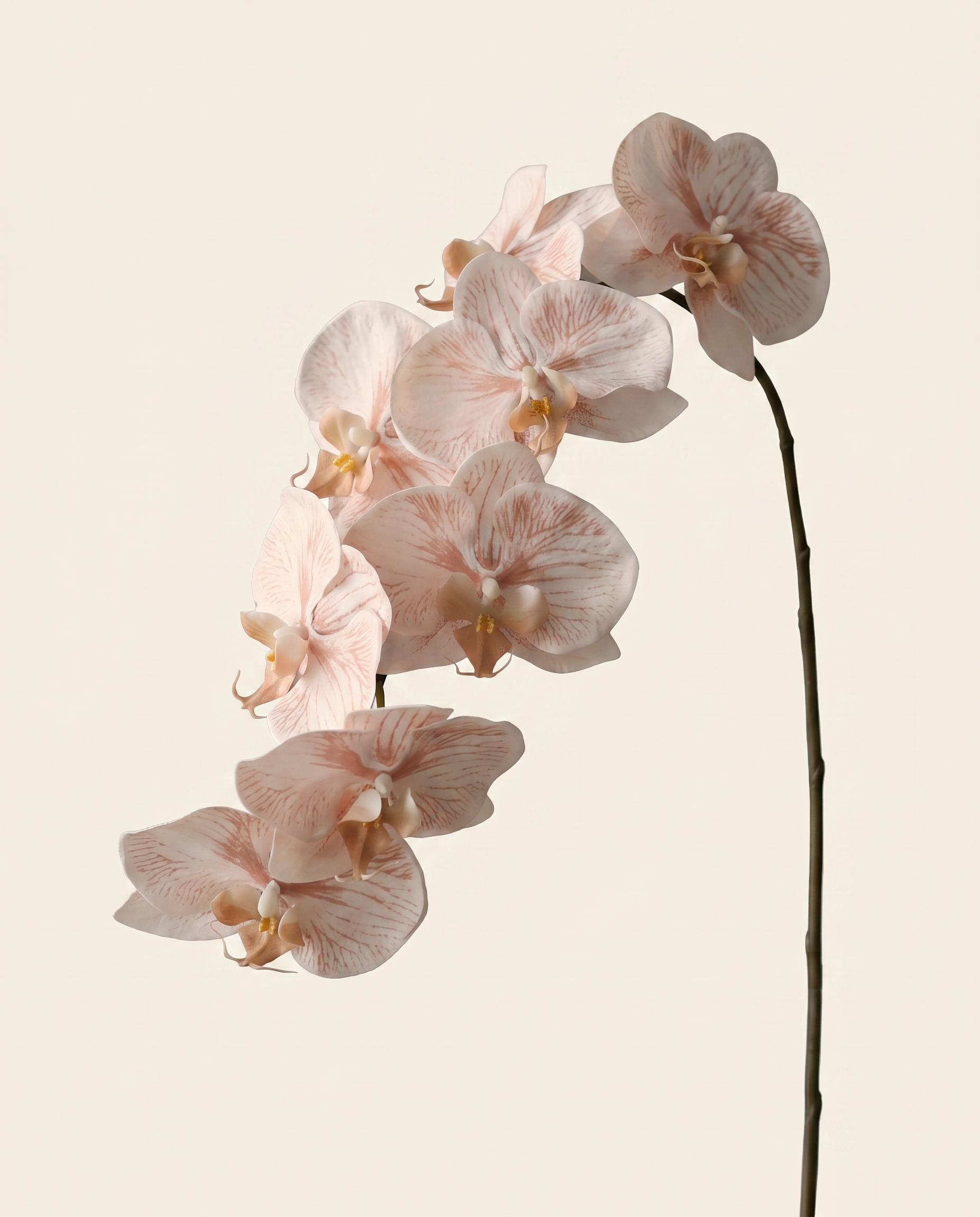 Nagy orchidea bézs művirág