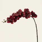Nagy orchidea burgundi művirág