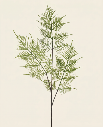 Fern leaf branch - green