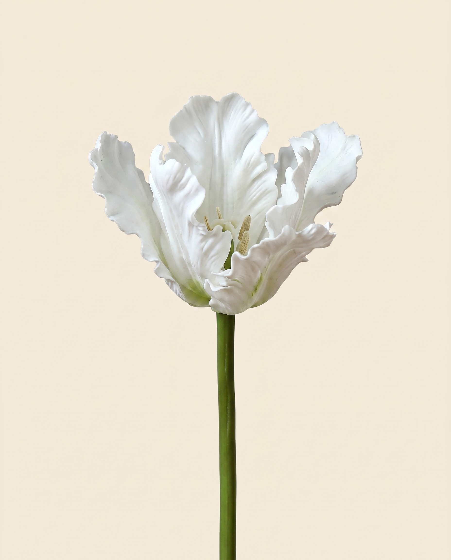 Vad tulipán fehér művirág