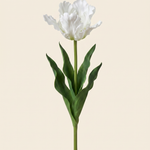 Vad tulipán fehér művirág
