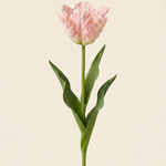 Vad tulipán rózsaszín művirág
