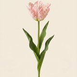 Vad tulipán rózsaszín művirág