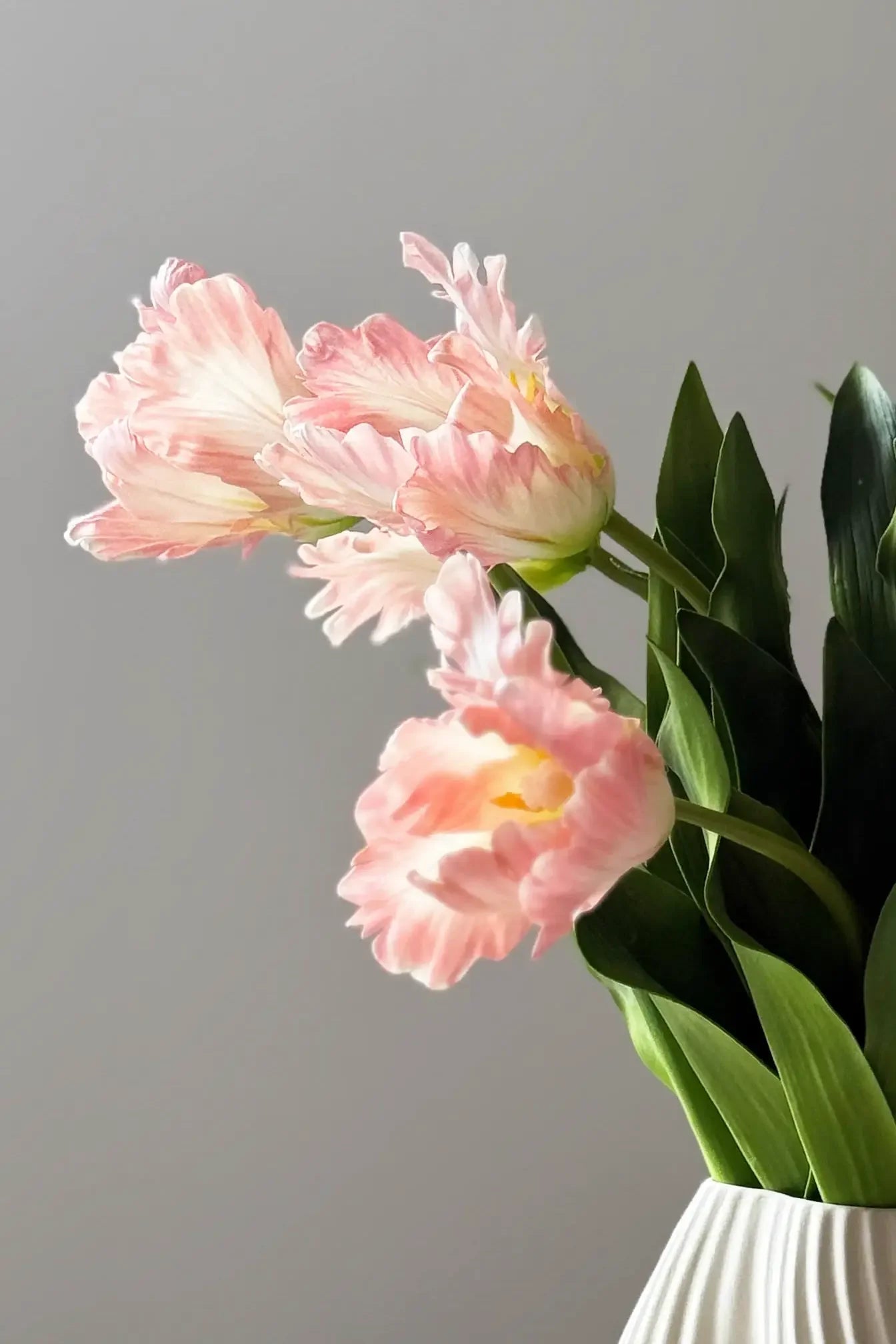 Vad tulipán rózsaszín művirág